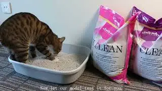 Grid Bentonite Cat Litter Overview｜Strong Clumping & Odor Control 🐾