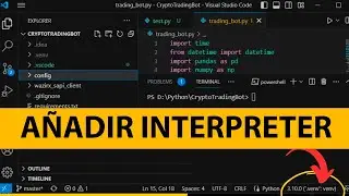 How to Add the Python Interpreter in Visual Studio Code 🐍