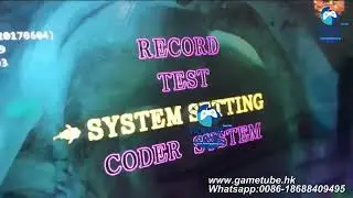 Deluxe IGS Fire Phoenix Fishing Table Game - Original IGS Software Background Settings & Code Box
