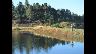 Prime Location