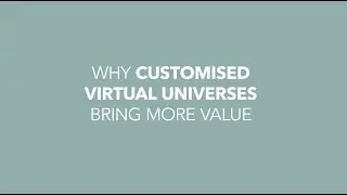 The value of a virtual platform