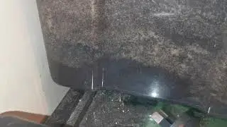My Giant Burrowing roaches are well established in their home