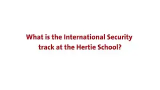 What is the International Security track at the Hertie School?