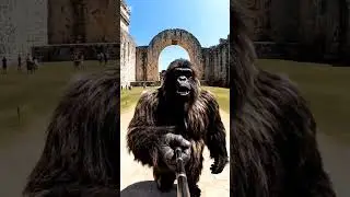 Causa Gris caminando por Chichen Itz&aacute; #parati #humor #ias #viral 