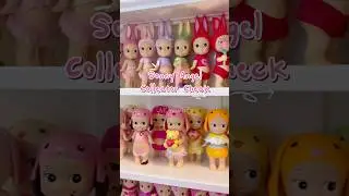 Sonny Angel collector check ✅ #blindbox #sonnyangel #sonnyangels #trinkets #collectorcheck