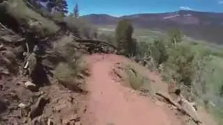 Haflin Creek Trail, Durango, CO