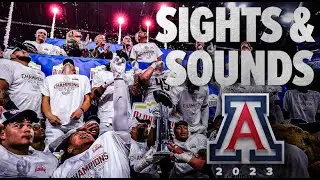 Sights & Sounds: The 2023 Arizona Wildcats