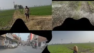 ਮਾਲੇਰਕੋਟਲਾ ਦਿੱਲੀ ਗੇਟ ਤੇ ਬੱਸ ਸਟੈਂਡ ਕਣਕ ਤੇ ਕੀਤੀ ਸਪਰੇਅ