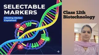 Selectable markers in Vectors I NEET preparation I Biotechnology Class 12