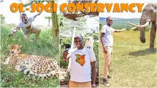 ONLY BEAR IN AFRICA | Ol-Jogi Conservancy | Travel Vlog