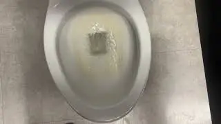 10,748. Big Lots Men&rsquo;s Restroom 