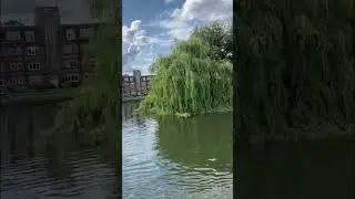 Rocking and Rolling on the Thames Narrowboat cruise