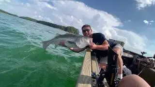 Lake Lanier MONSTER Stiper + Leadcore Trolling Tips