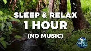 SLEEP & RELAX SOUND - Light Rain & River Flow &bull; ASMR Sleep Sound (No Music) 1 HOUR for SLEEP & RELAX