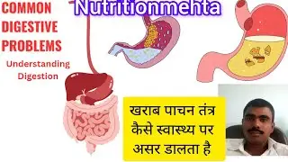 Slow Digestion problems