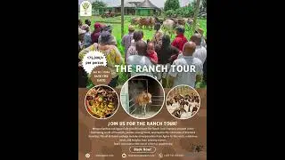 THE RANCH TOUR IS BACK! ⭐️ 26-10-2024 #farming