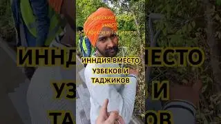 Индусы вместо Узбеков?#мигранты