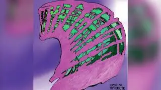 WHALES&bull;TALK - Hypocrite (audio)