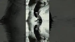 Night Shadow // Berlin pulse, cold textures, deep progressive movement.