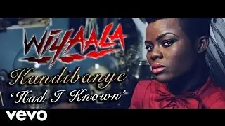 Wiyaala - Kandibanye (Had I Known)