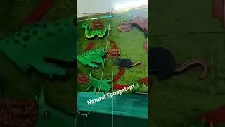Natural Ecosystem #project #innovation #3d#model #exhibition #shortsfeed #shortvideo #viral #shorts