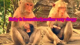 Mother are always sleepy when breastfeeding.