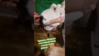 Стэтхэм о обезьянах🐈&zwj;⬛😻❤️&zwj;🔥 #популярное #видосыоткота #cat #кот #юмор #recommendations #mem #memes