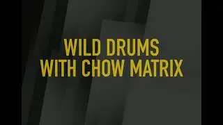 Wild Drums with Chow Matrix