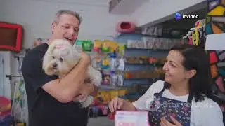 Major the Hero Dog: A Heartwarming Tale of Loyalty and Bravery