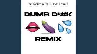 Dumb Dick (Remix)