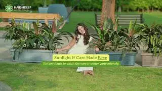 The Ultimate Guide to Plant Pots with Wheels | Stylish & Functional Planters by #harshdeepindia