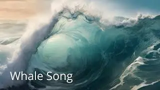 Whale Song