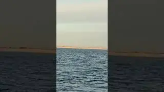 Whales just outside Fire Island Inlet Dec, 5 ,2021