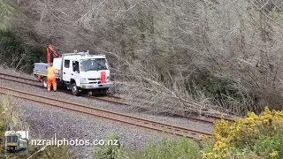 The Tree Saga