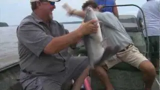 Catfish Jugging on Mississippi