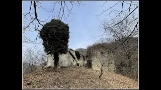PARCO NAZIONALE VALGRANDE   ALPE TREGUGNO   8 dicembre 2024