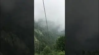 Muree Beauty❣️