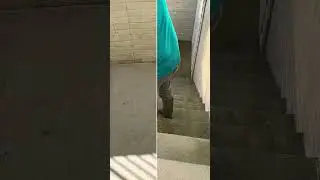 Extra clean exterior basement staircase🤢 #pressurewashing #powerwashing #softwashing