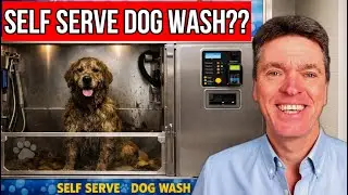 Self Service Dog Wash in Westward Ho? WIN My Beach House or &pound;250K in Cash!!