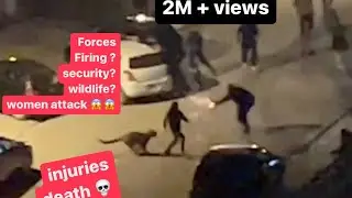 Leopard Escape From Home AT DHA 2 Islamabad #leopard#cheetah#trending