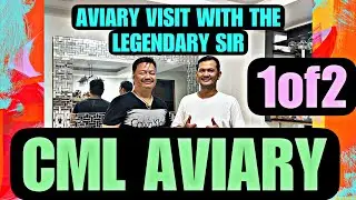 Part1. Aviary visit with CML Aviary #aviary #birds #trendingvideo #viralvideo #animals #tips #albs2