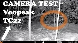 Testing the Voopeak TC22 model Trail Camera | Winter Predators |