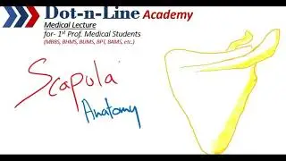 Scapula Anatomy | angles, borders, surfaces, processes, joints | #scapula #anatomy #bonesanatomy