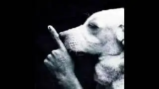 PONTINHO PSICODÉLICO 2 - MC GUTO VGS (DJ PATRICK R E DJ KLEY) - (SLOWED)