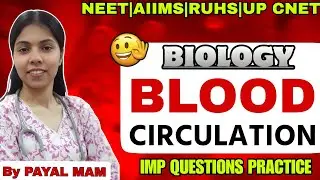  Class 11Blood Circulation | Biology Important Questions | NEET AIIMS RUHS UP CNET | By Payal Mam