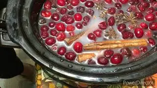 Crock Pot October Trim Healthy Mama Cranberry Wassail, 2020