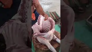 goat meat cutting skills #meat #kitchenknife #trending