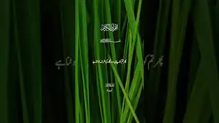 New Cool Tool!New Viral Gadgets, Islamic,Appliances, Tools, Utensils, Home Cleaning,#shortvideo