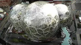 Cranecam - Amazon Spheres Daily - 2017-11-26