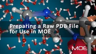 Preparing a raw PDB file for use in MOE